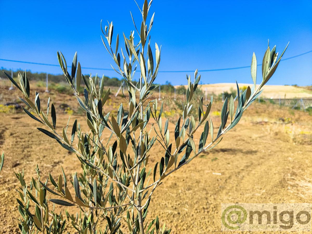 Venta de terreno en Coín