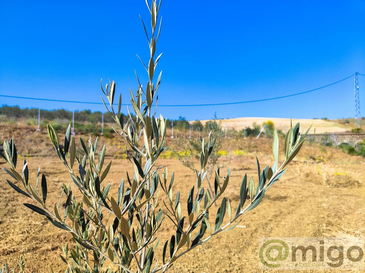 Venta de terreno en Coín