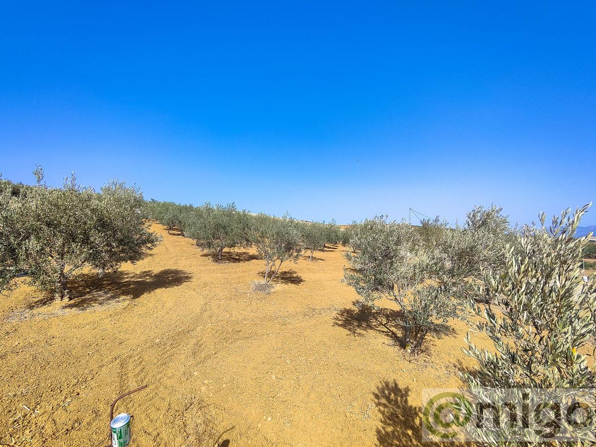 Venta de terreno en Coín