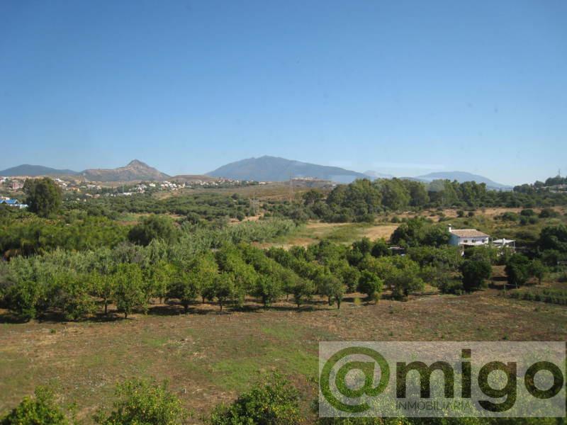 For sale of commercial in Estepona