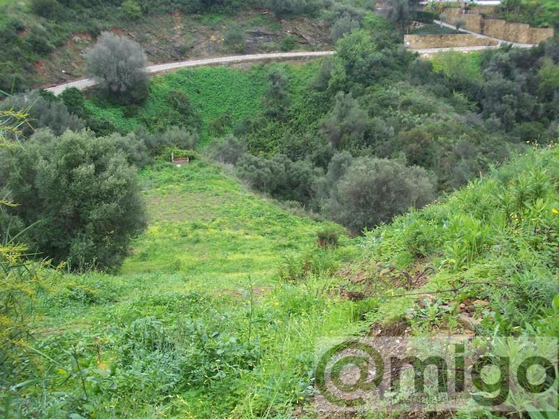 For sale of land in Marbella