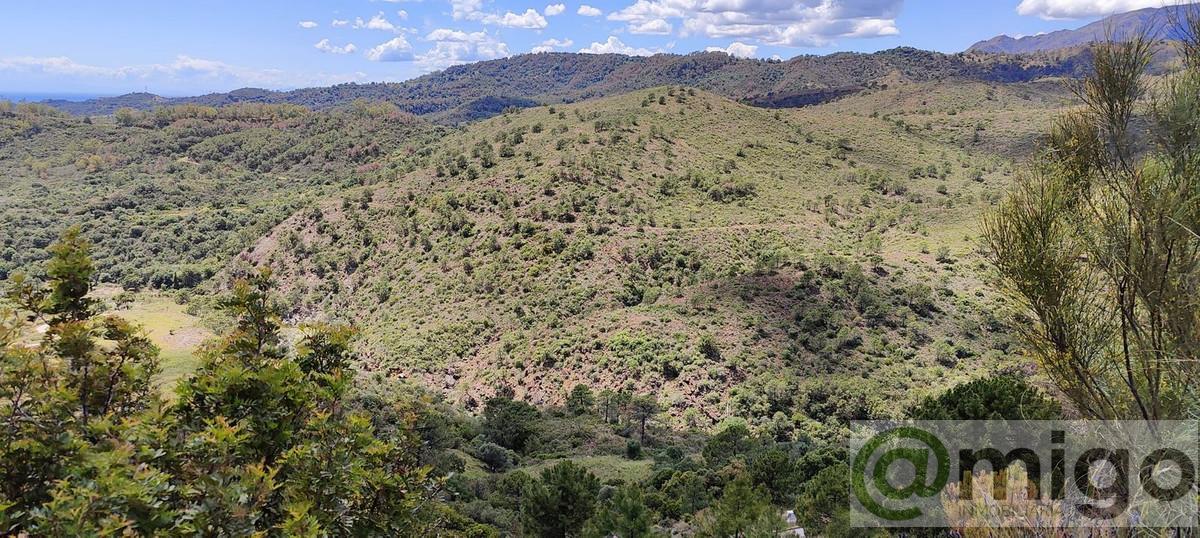 Venta de terreno en Marbella