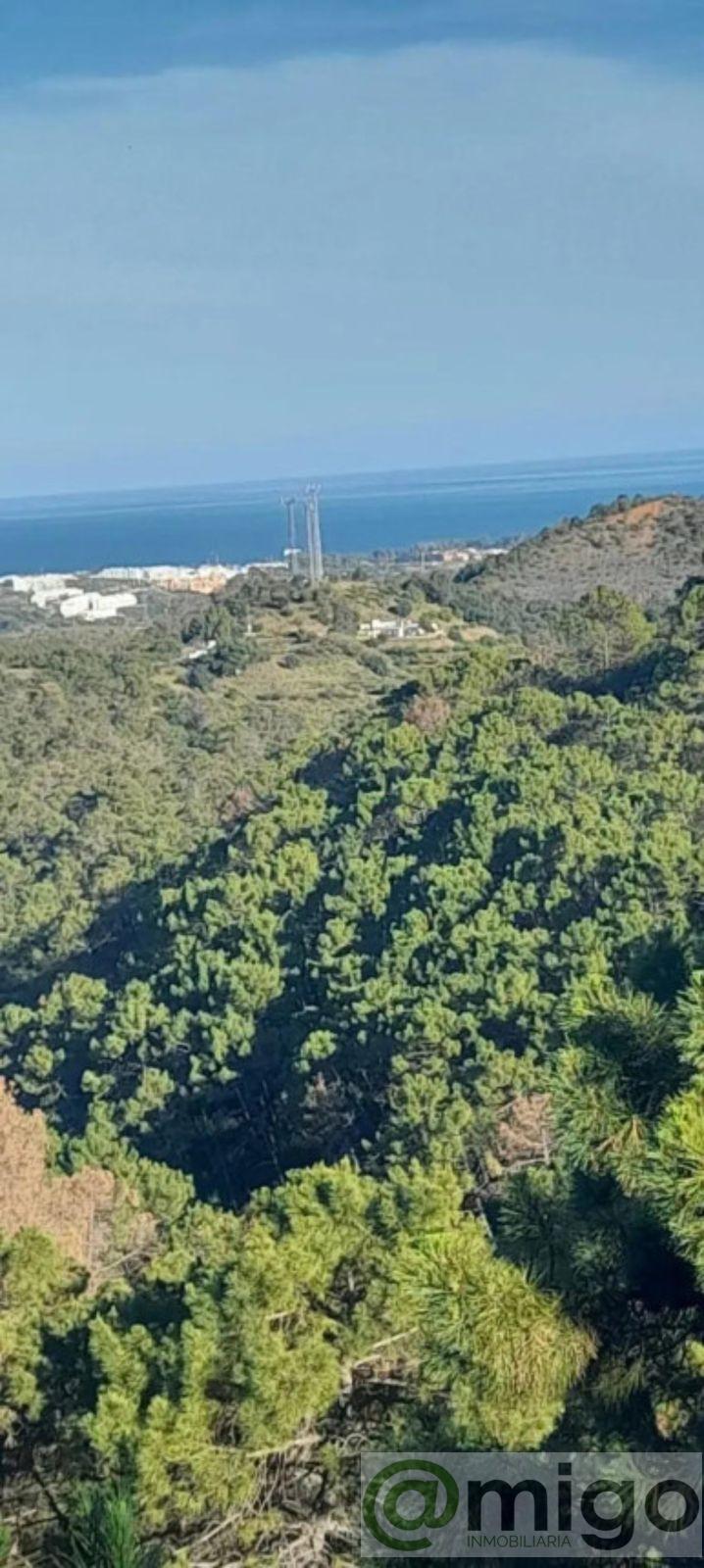 For sale of land in Selwo