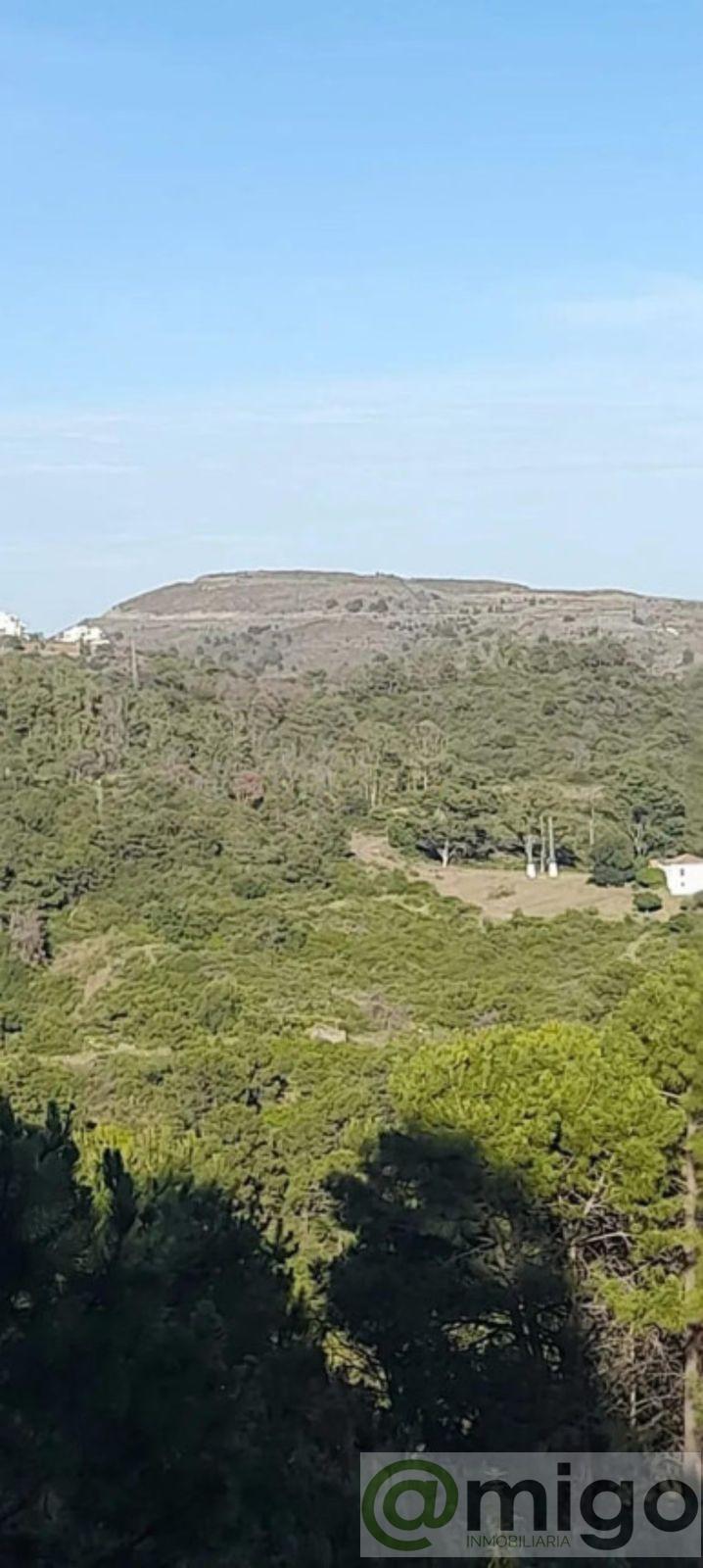 For sale of land in Selwo