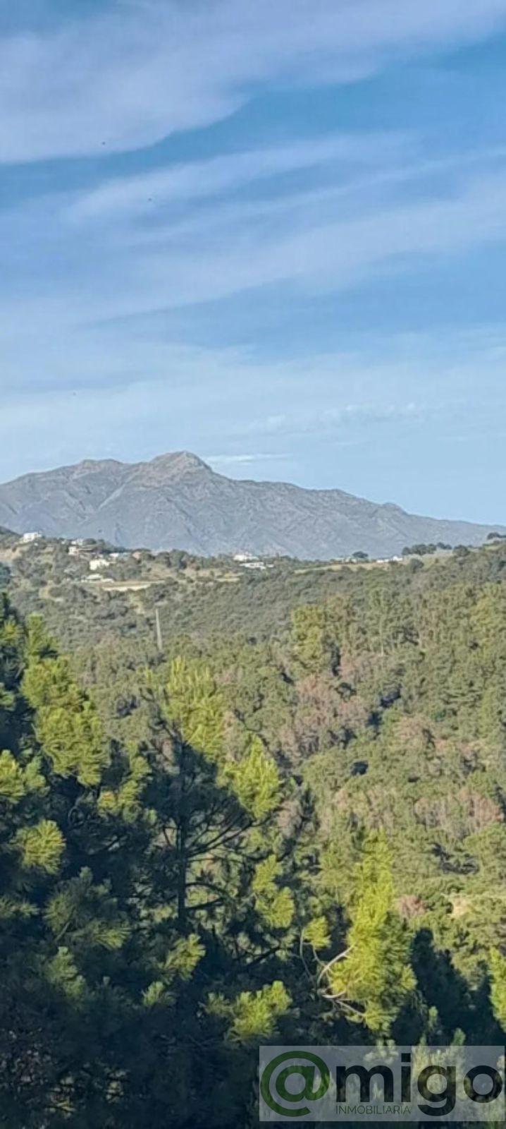 For sale of land in Selwo