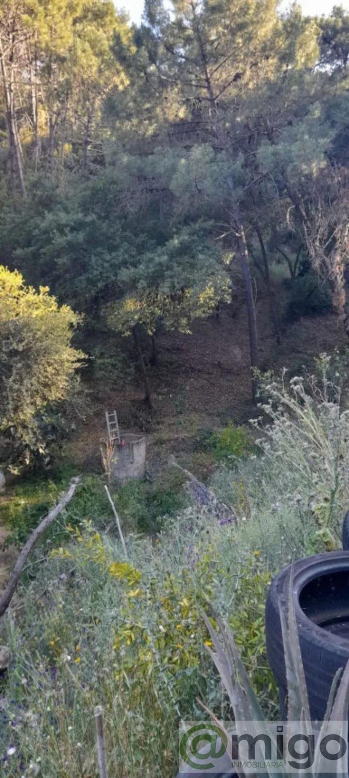 For sale of land in Selwo