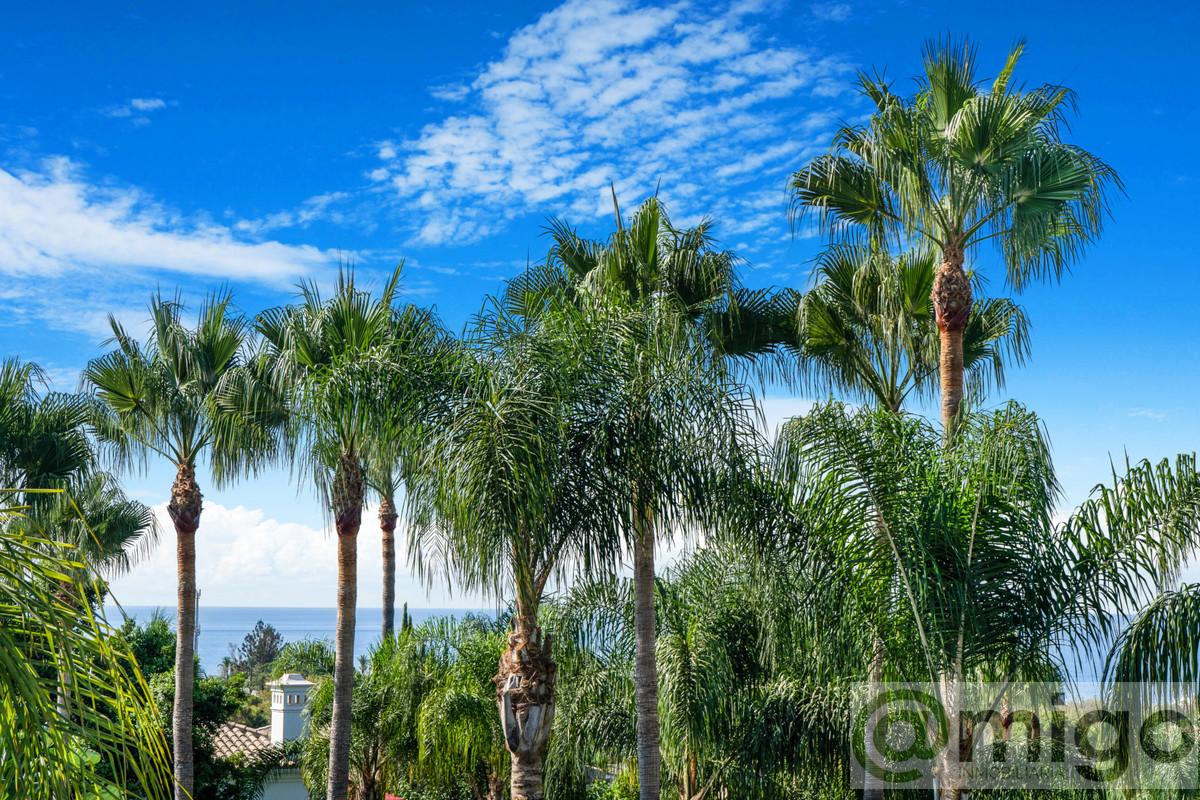 Venta de villa en Marbella