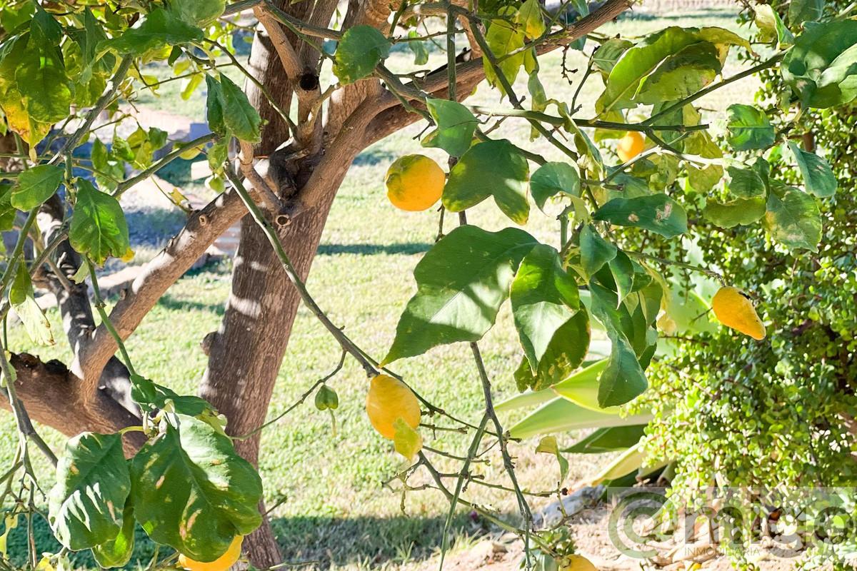 Venta de villa en Estepona