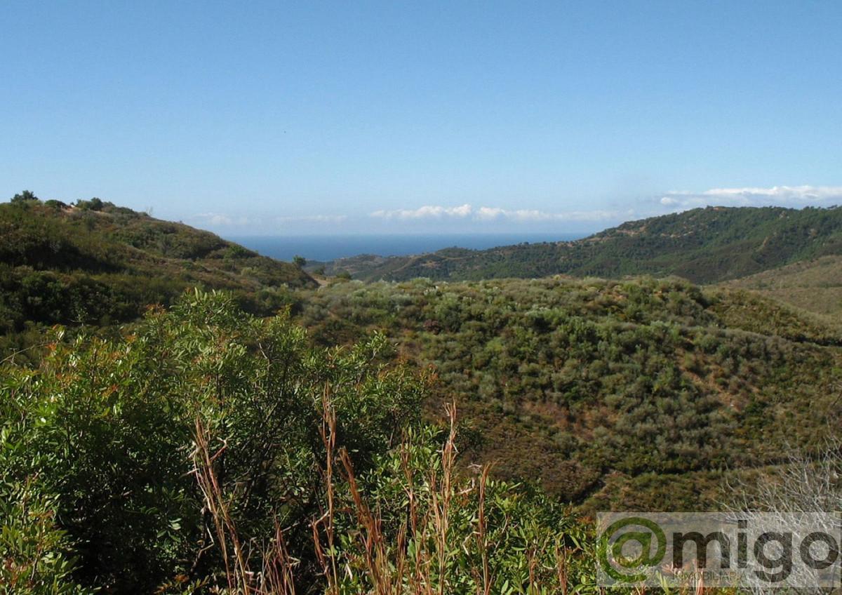 Venta de terreno en Marbella