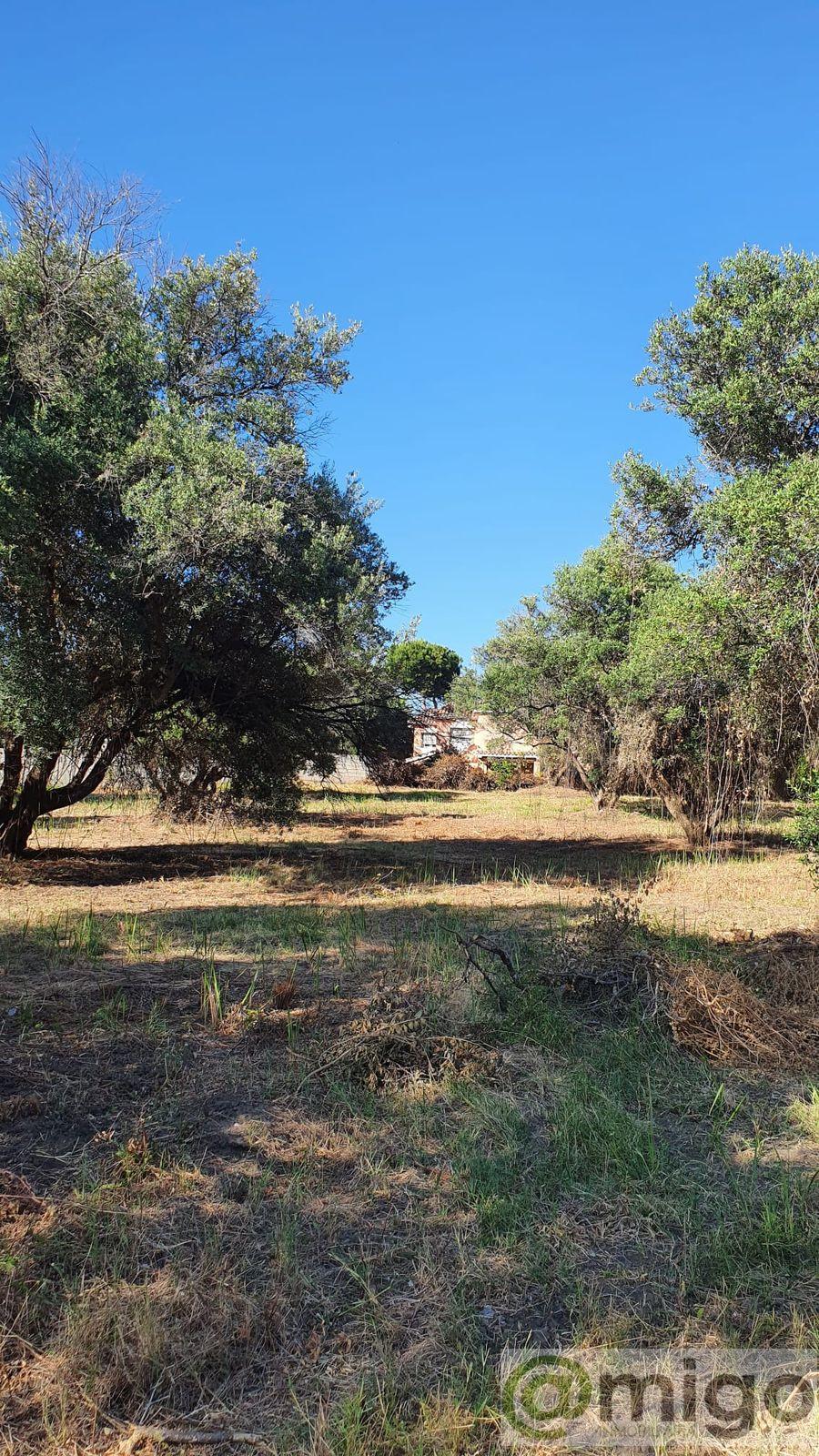Venta de terreno en Marbella