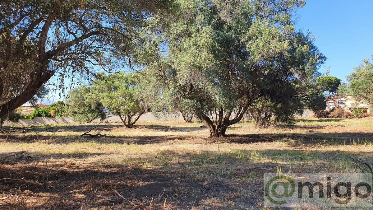 Venta de terreno en Marbella