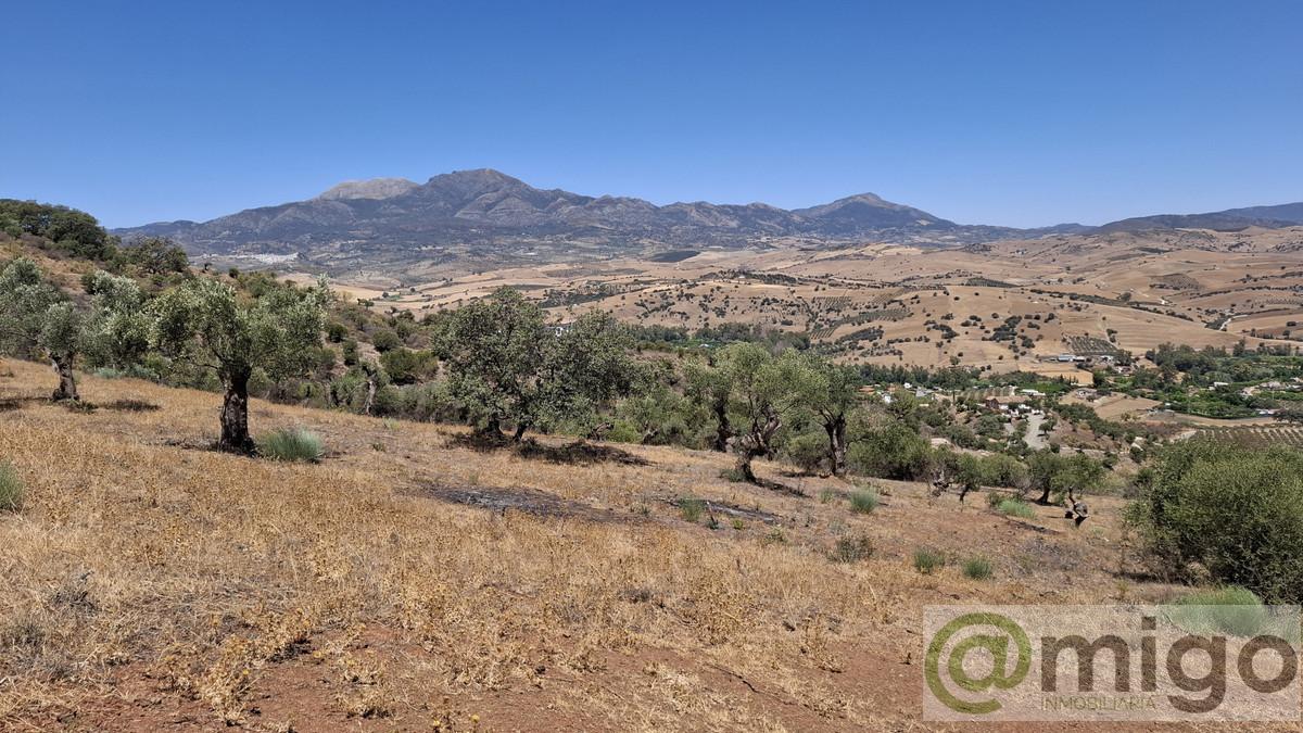 Venta de terreno en Coín