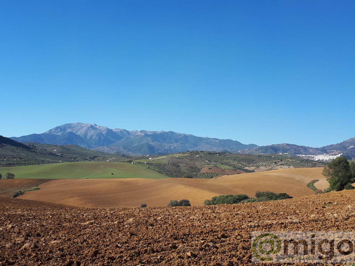 Venta de terreno en Coín