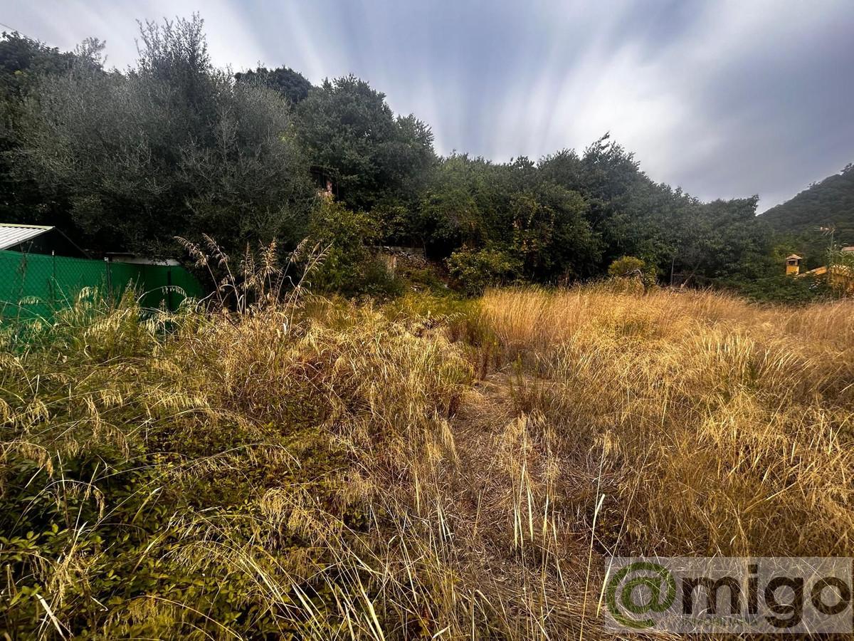 Venta de terreno en Marbella