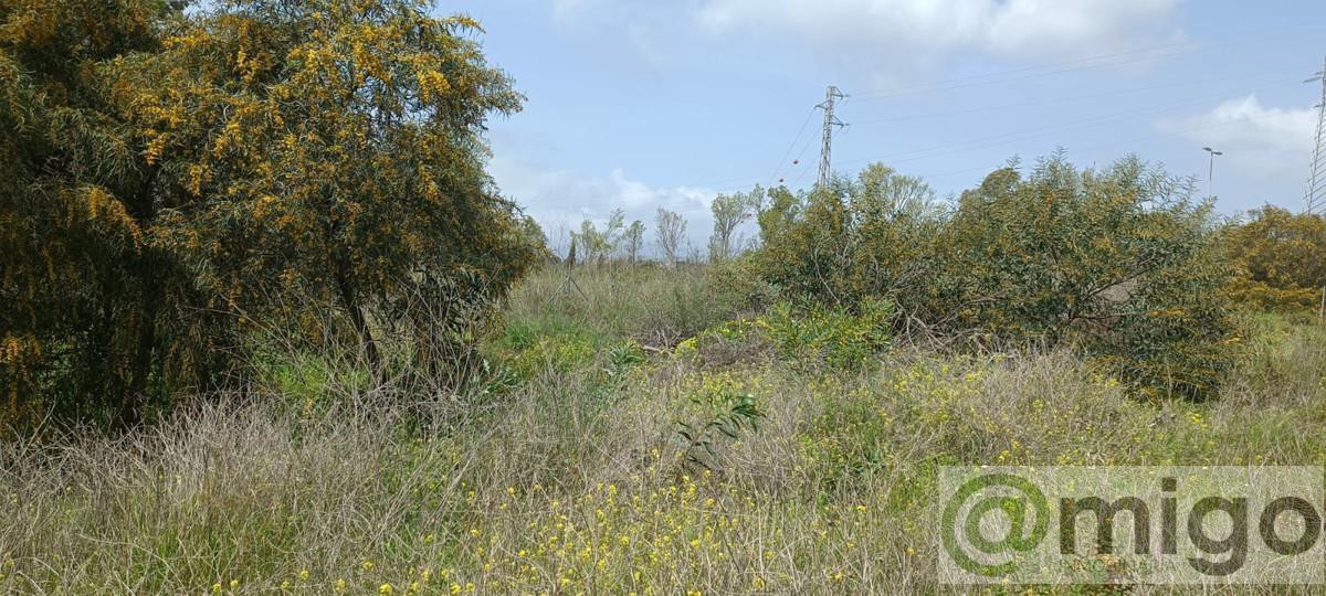 Venta de terreno en Marbella