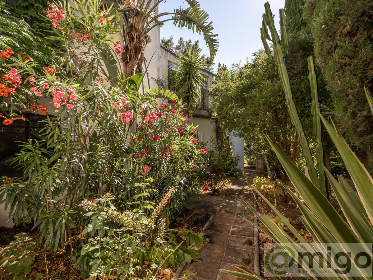 Venta de local en Casares