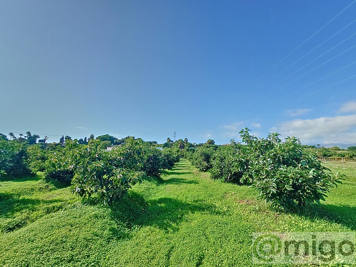 Venta de villa en El Padron