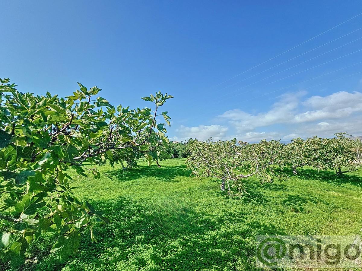 Venta de villa en El Padron