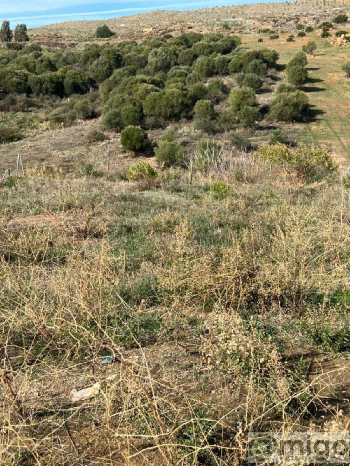 Venta de terreno en Valle Romano
