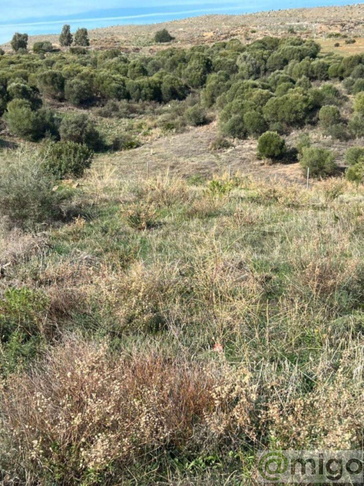 Venta de terreno en Valle Romano