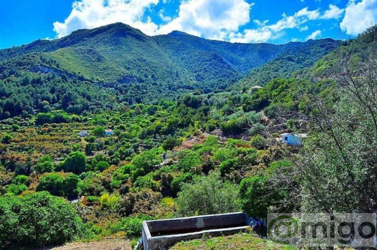 For sale of land in Marbella