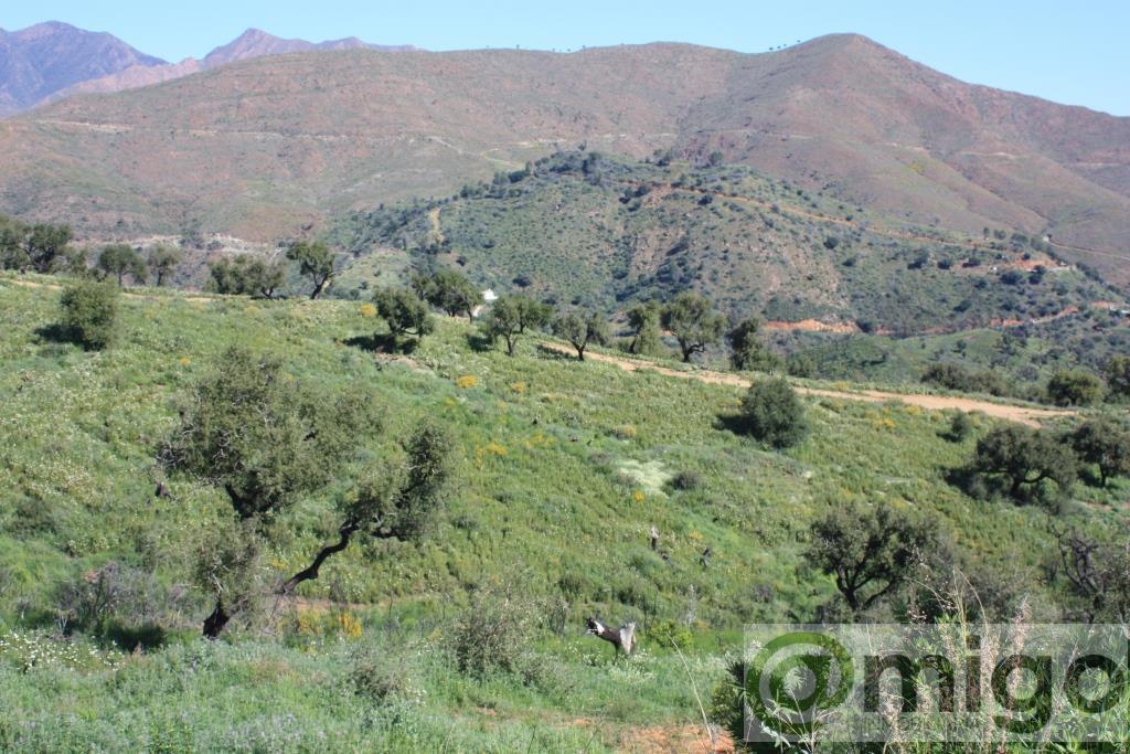 Venta de terreno en Marbella