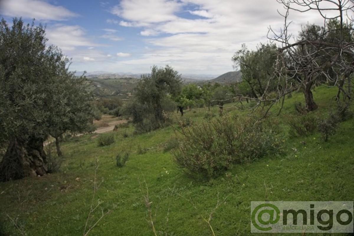 Venta de terreno en Marbella