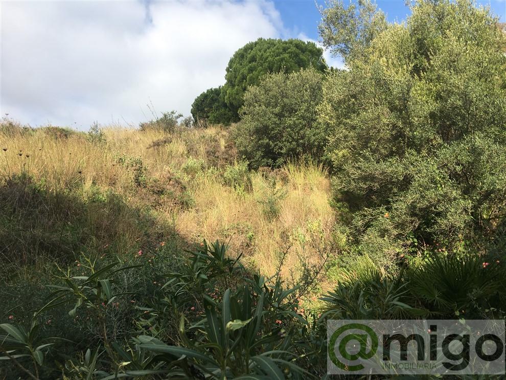 Venta de terreno en Mijas