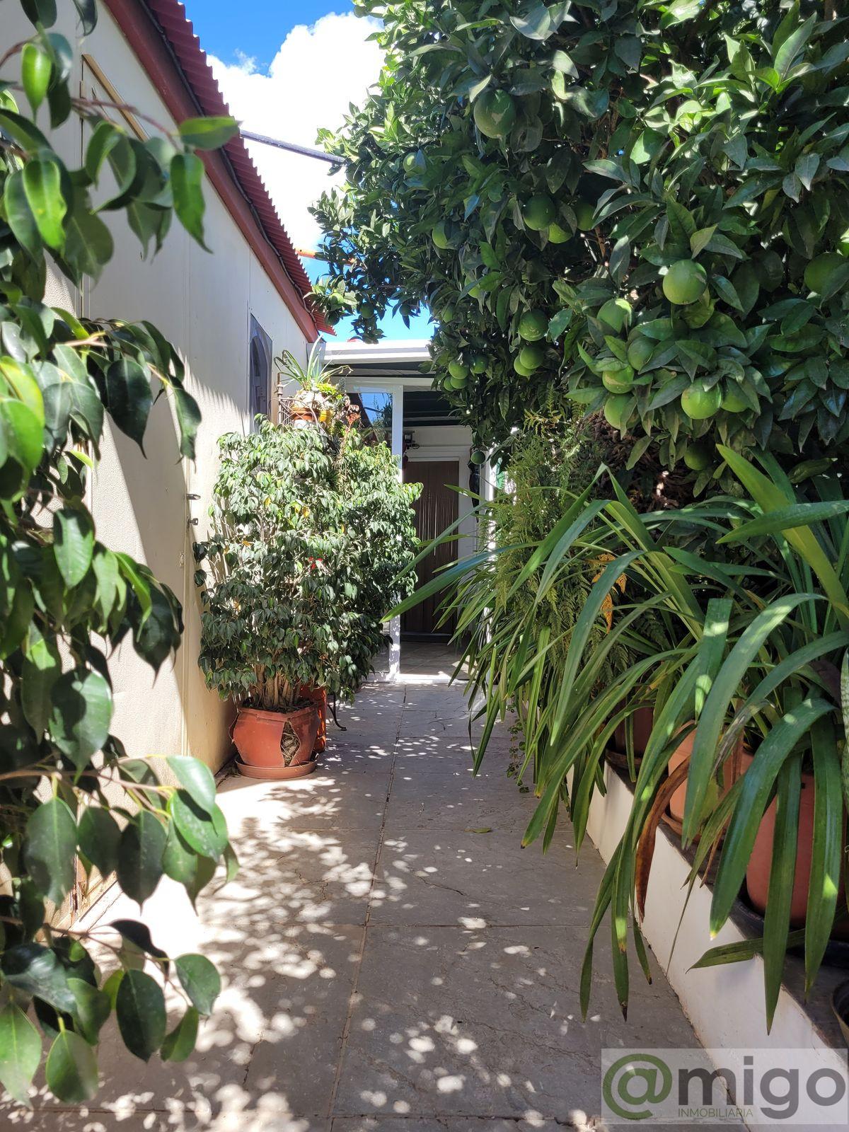 For sale of villa in Estepona