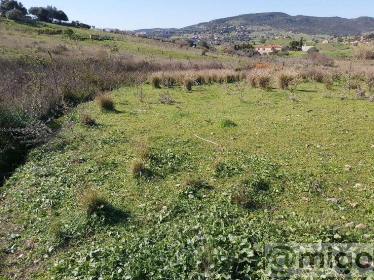 For sale of land in Estepona