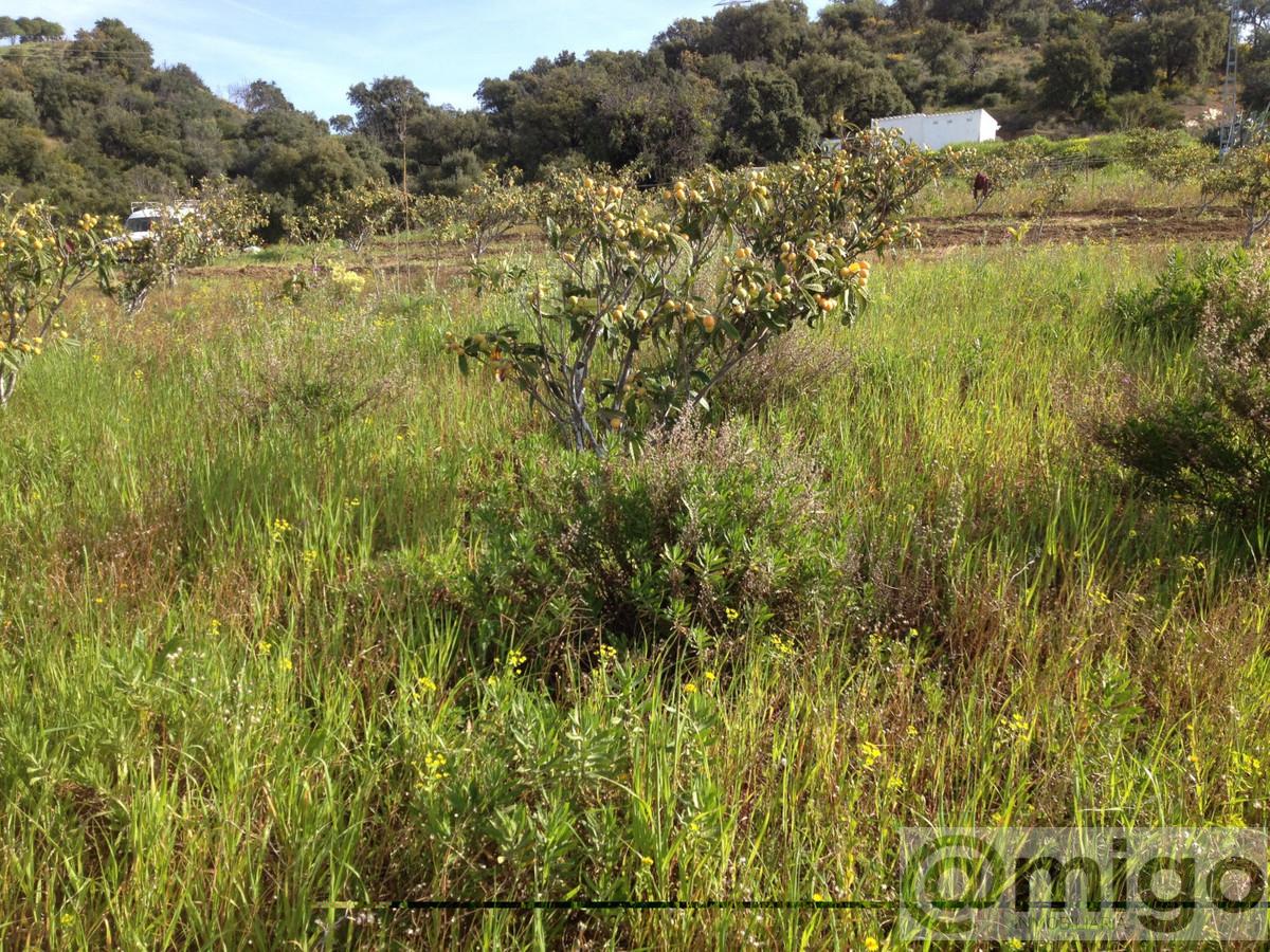 Venta de terreno en Estepona