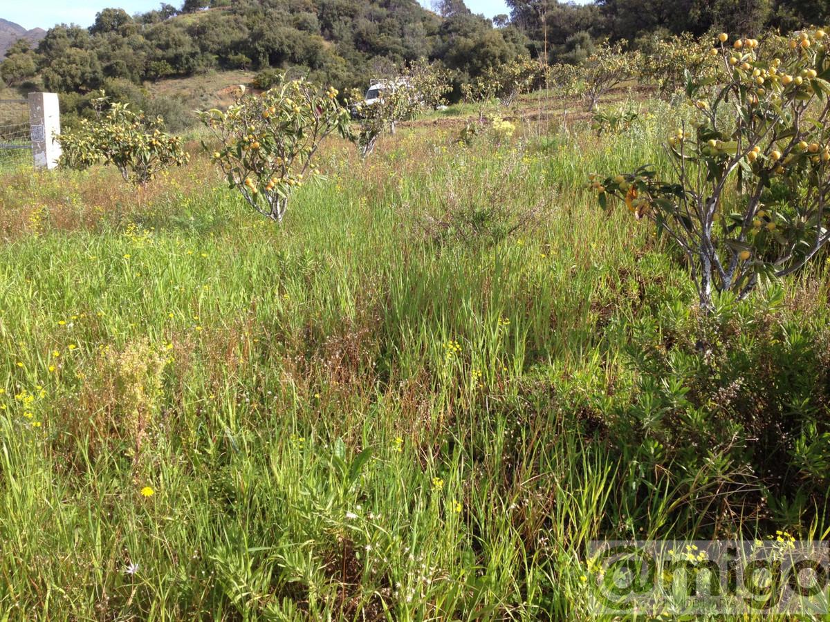 Venta de terreno en Estepona