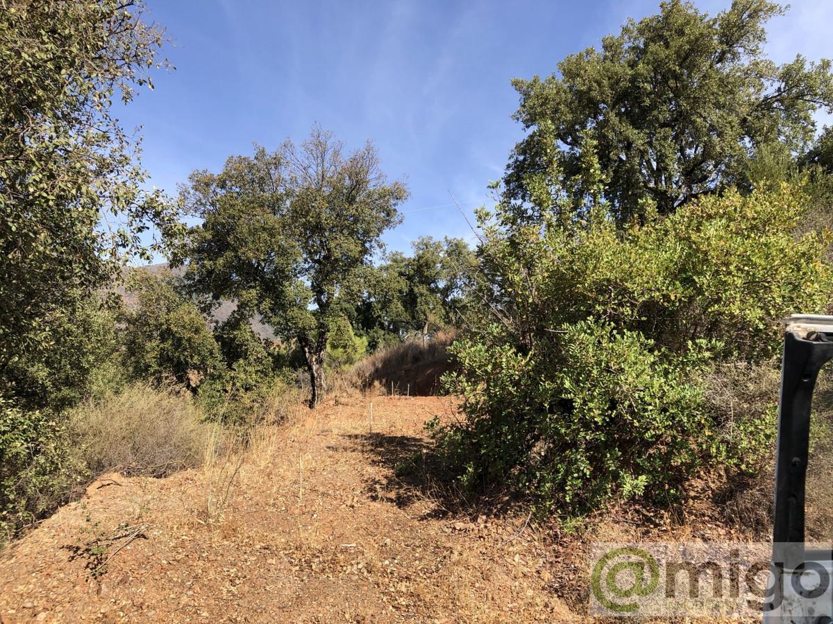 Venta de terreno en Estepona