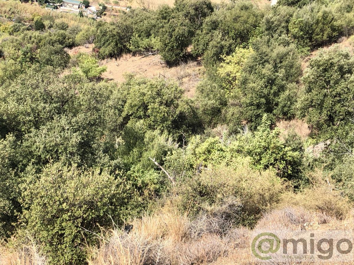 Venta de terreno en Estepona