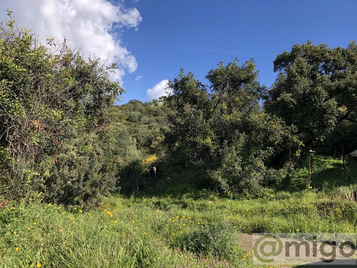 Venta de terreno en Estepona