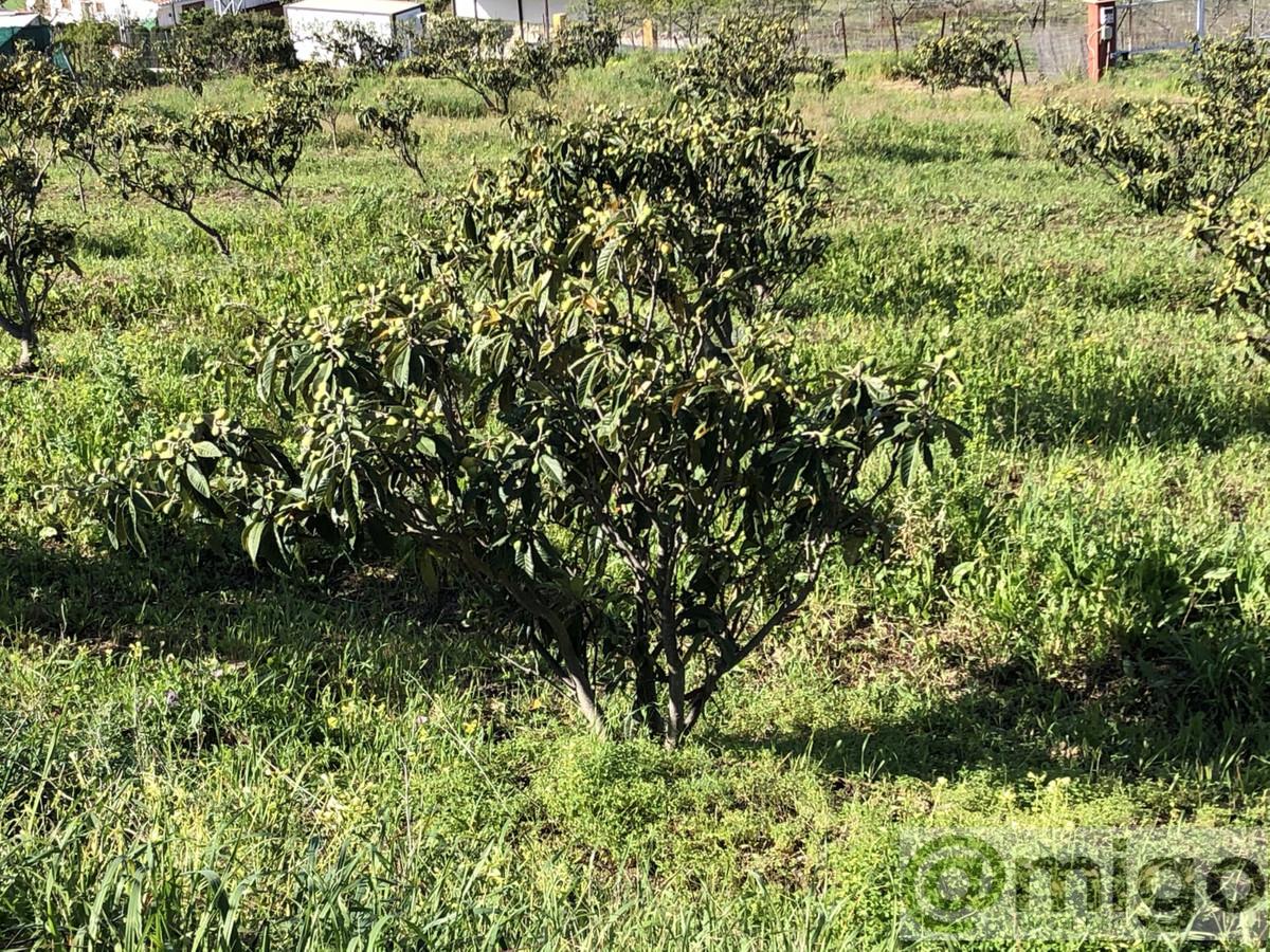 Venta de terreno en Estepona