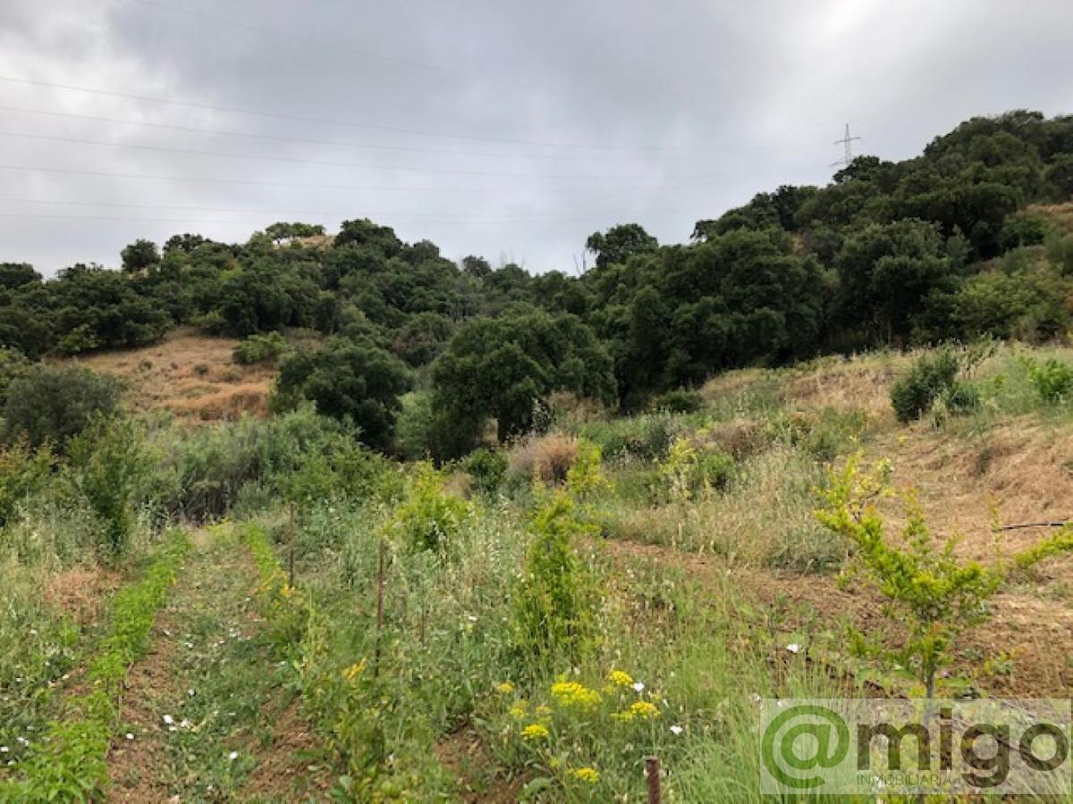 Venta de terreno en Estepona