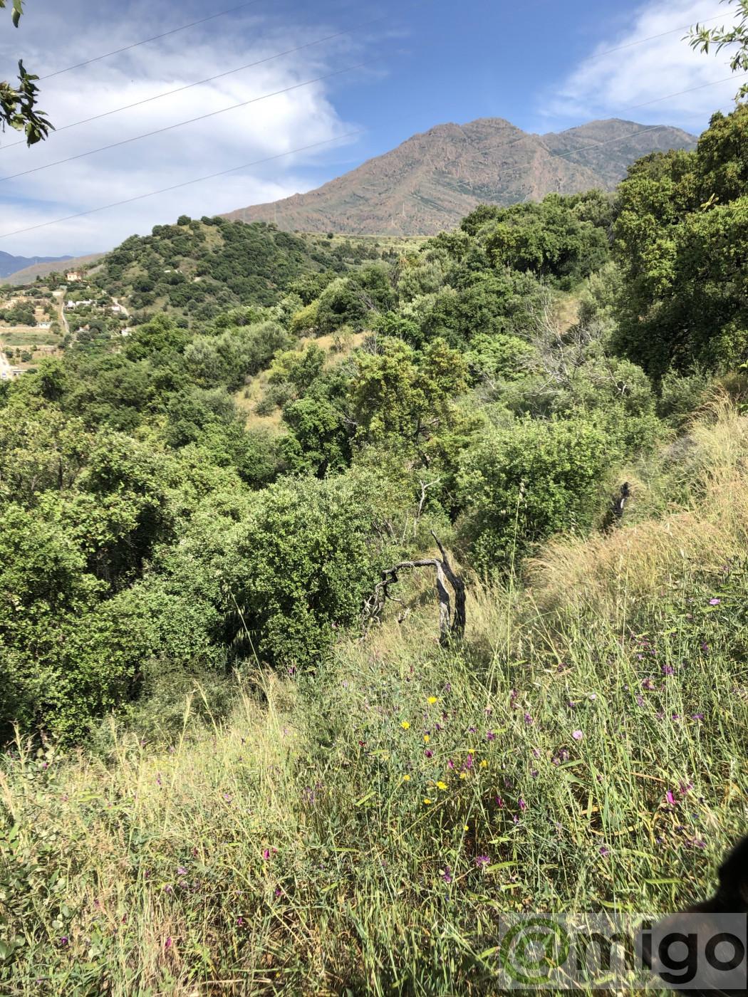 Venta de terreno en Estepona