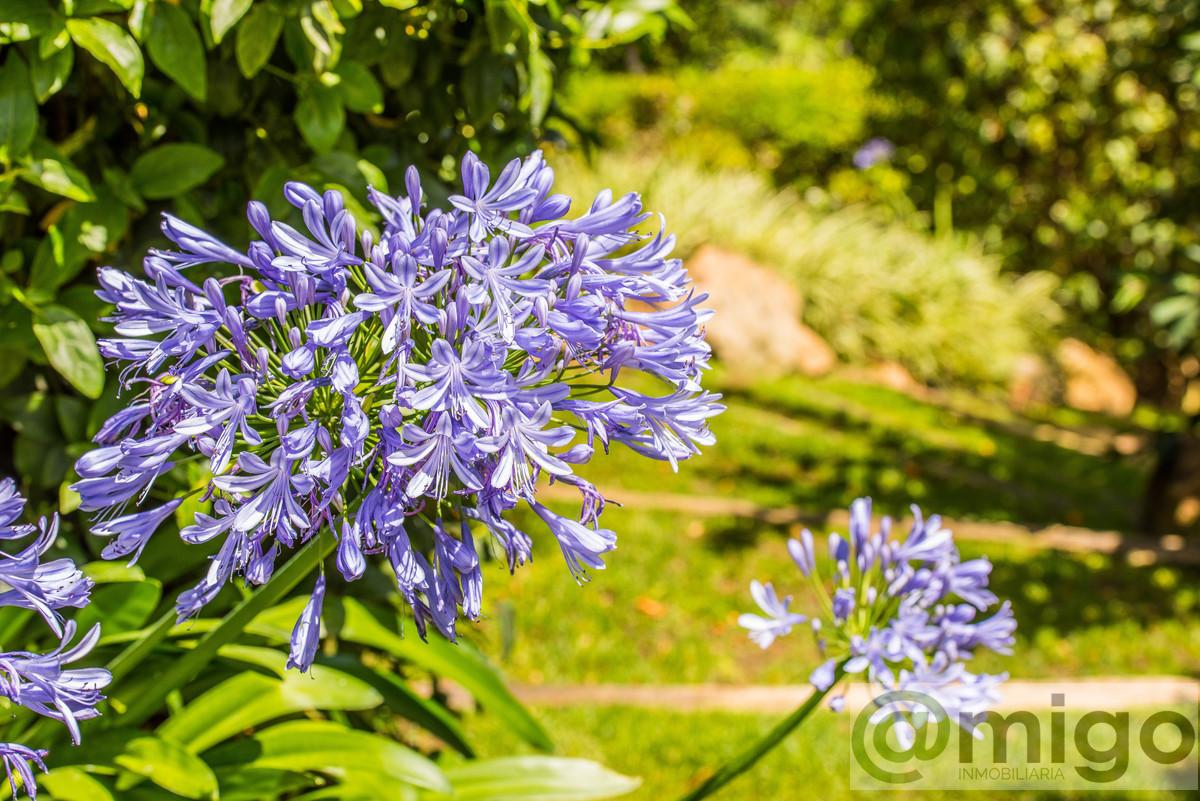 Venta de villa en Marbella