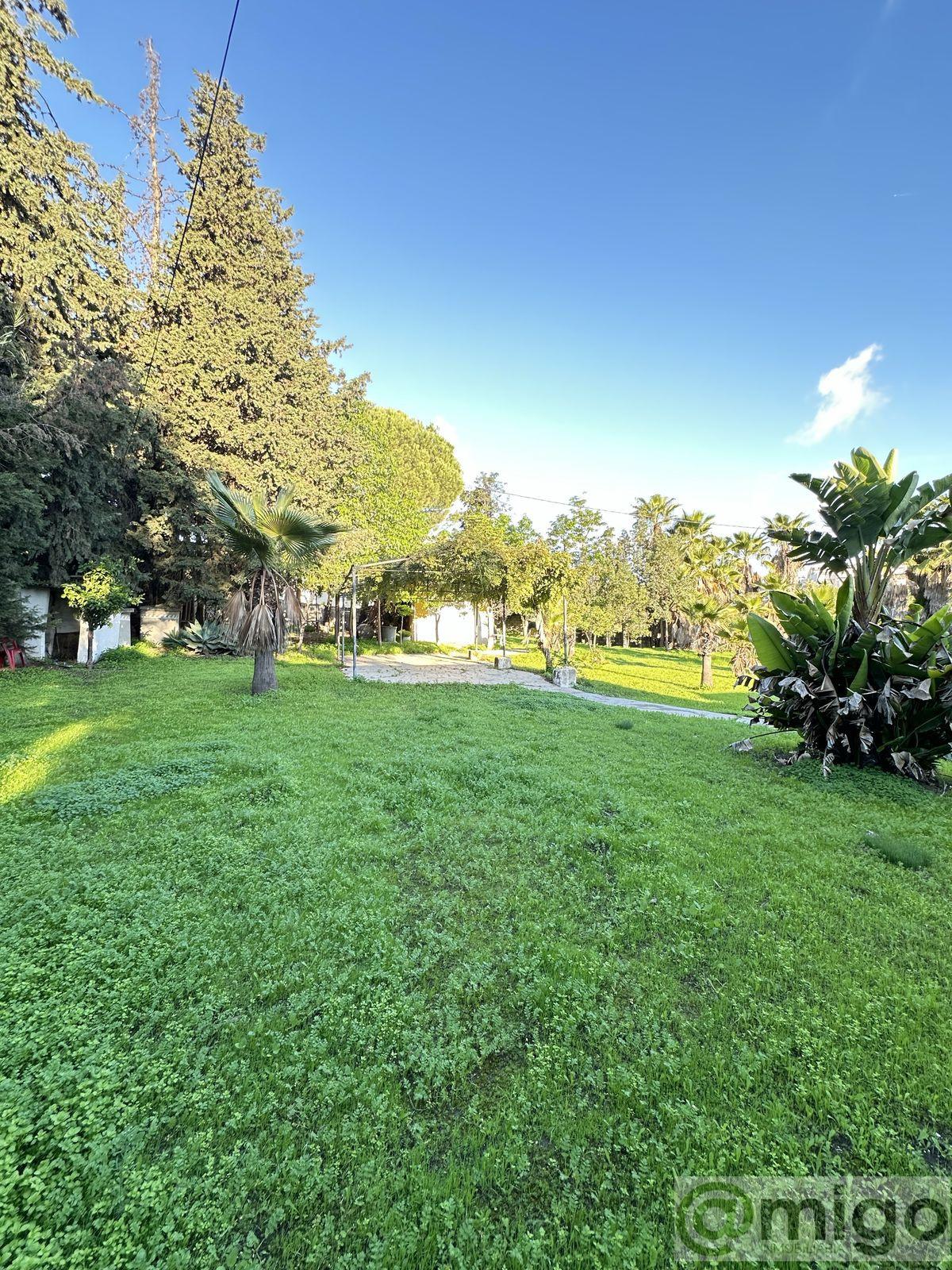 Venta de terreno en Marbella