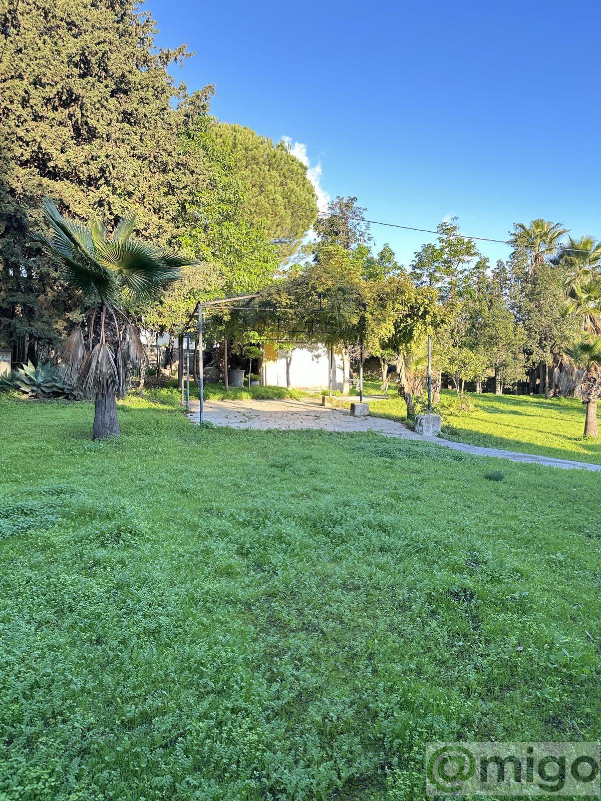 Venta de terreno en Marbella