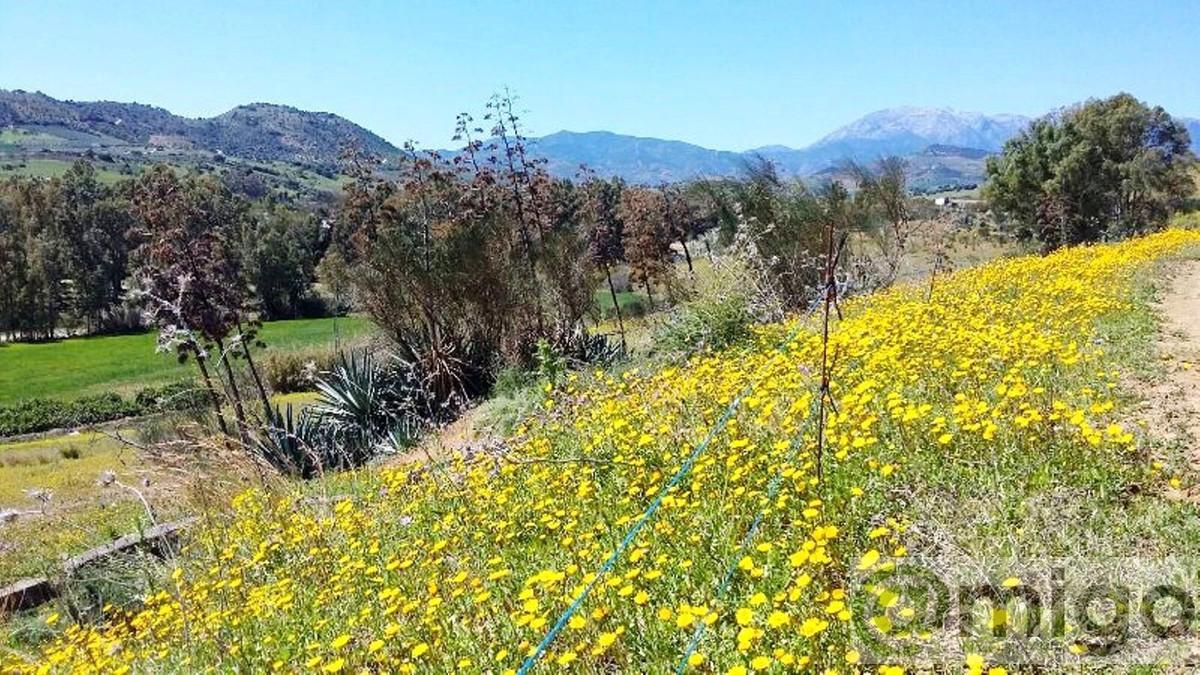 Venta de terreno en Coín