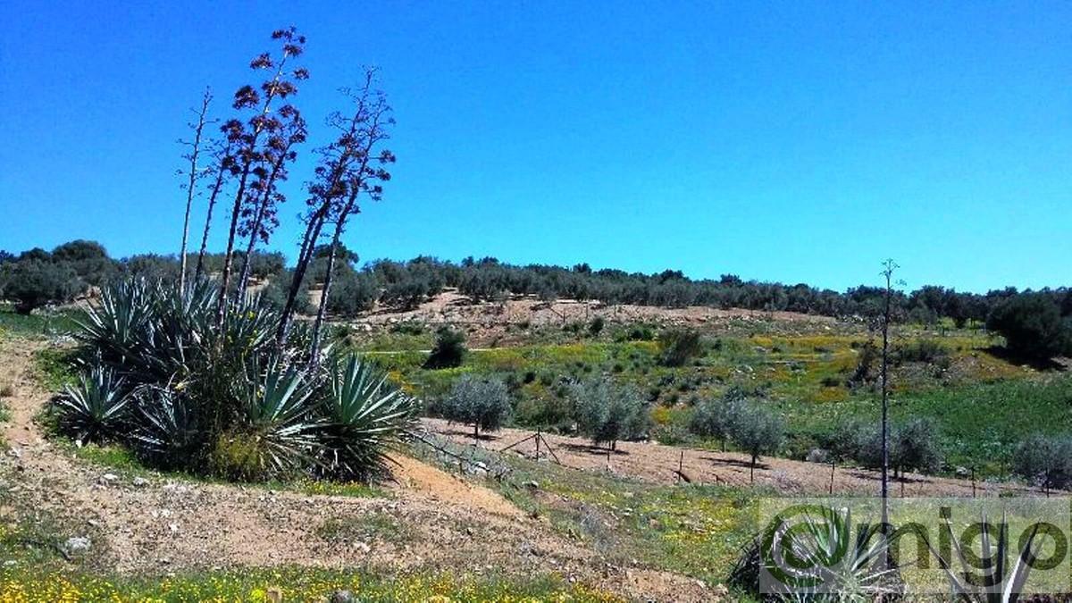 Venta de terreno en Coín