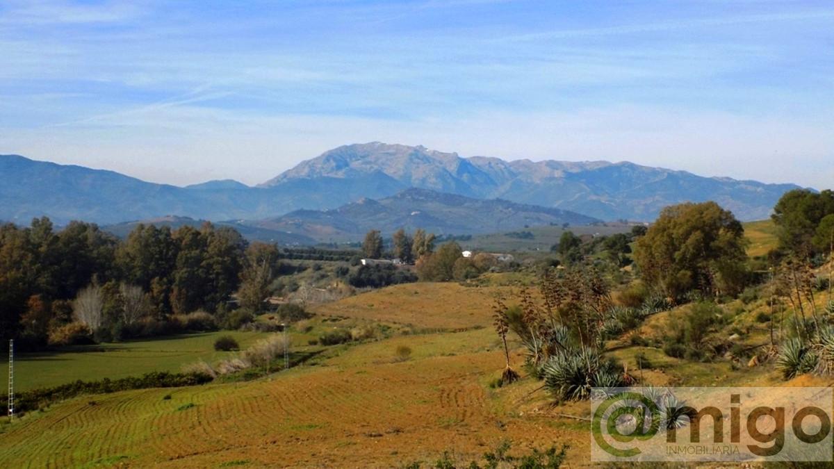 Venta de terreno en Coín