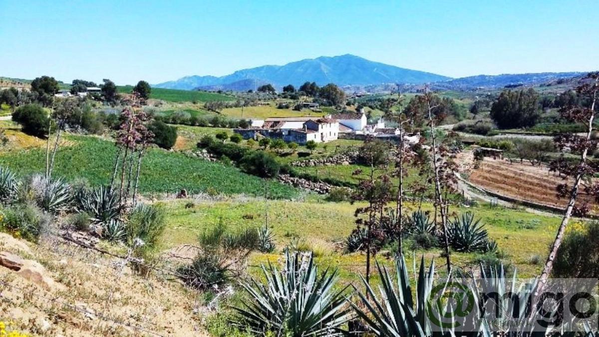 Venta de terreno en Coín