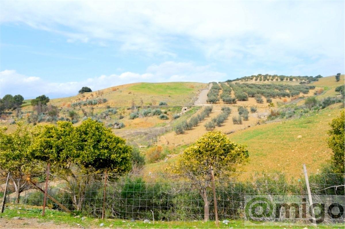 Venta de terreno en Coín