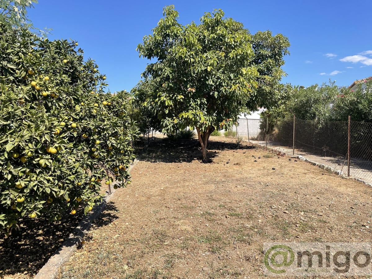 Venta de terreno en Marbella