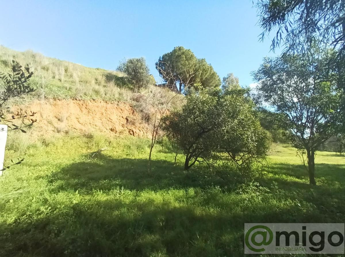 Venta de villa en La Cala Golf