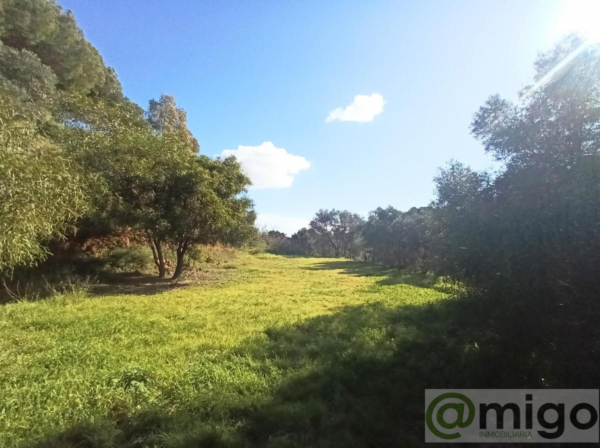 Venta de villa en La Cala Golf