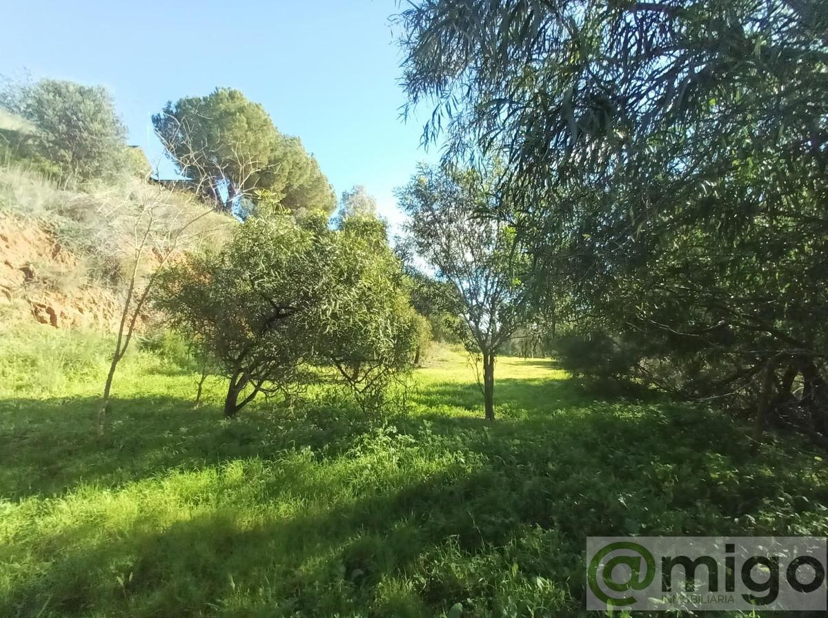 Venta de villa en La Cala Golf